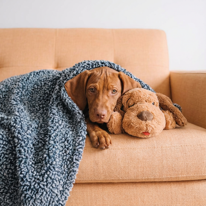 SnugPup™ Heartbeat Companion
